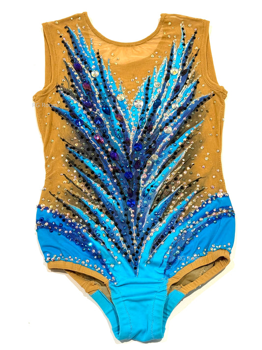 Competition Leotard (second hand)